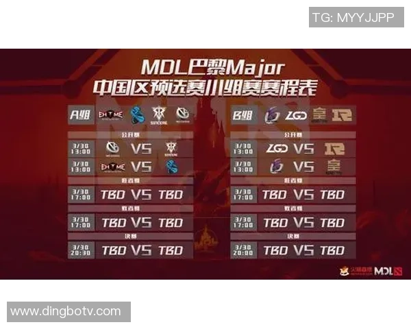 RNG在Major赛中的团队协作表现分析与战术解读