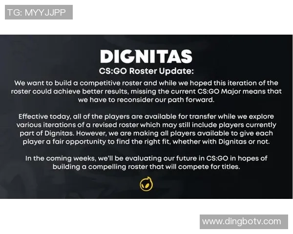 CSGO战术深度解析：WE战队的制胜秘笈与策略探讨